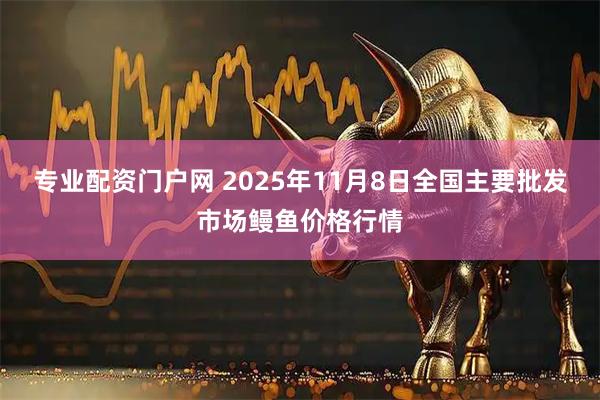 专业配资门户网 2025年11月8日全国主要批发市场鳗鱼价格行情